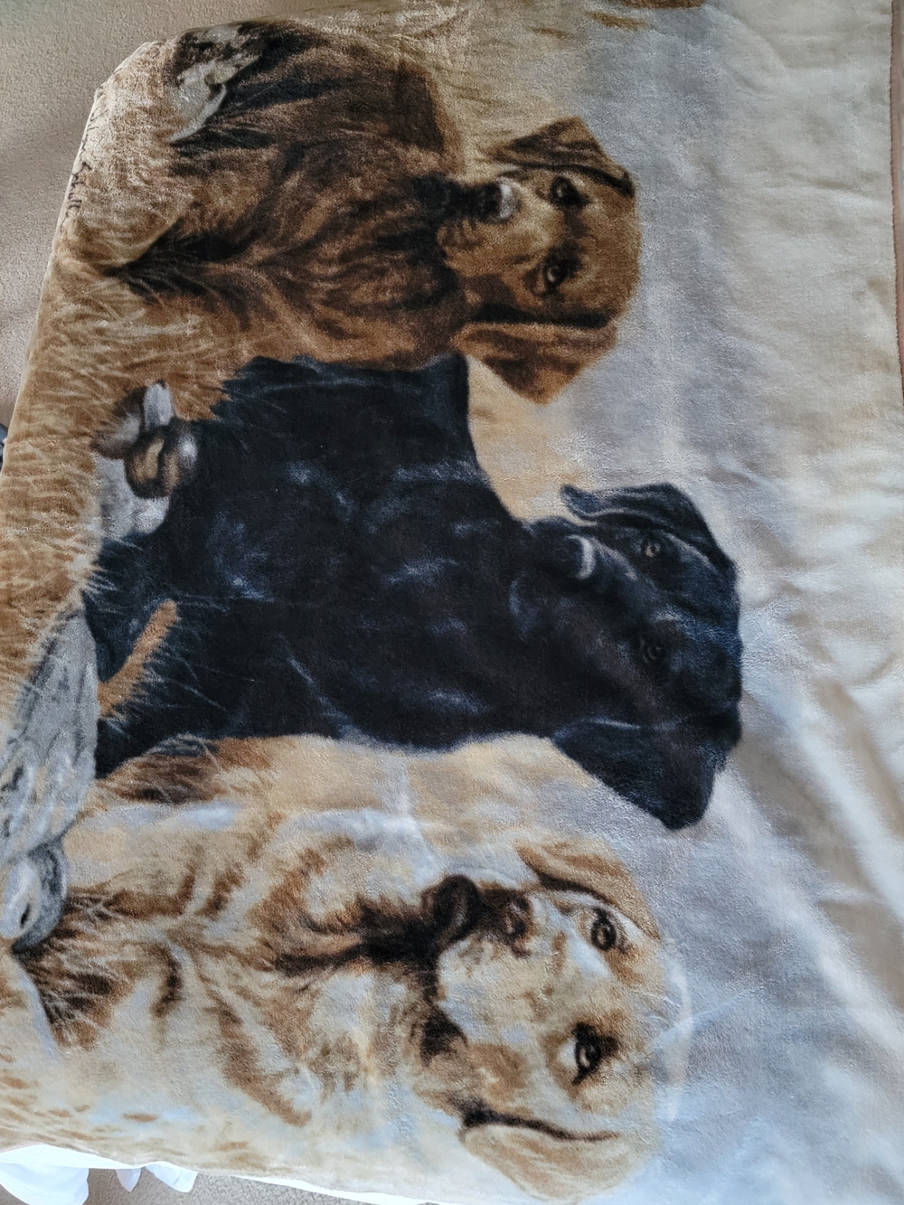 Vintage Victoria Wilson Schultz Dog Scene Plush Blanket - Large Throw Blanket
